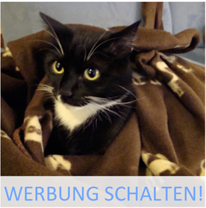 Werbung Schalten