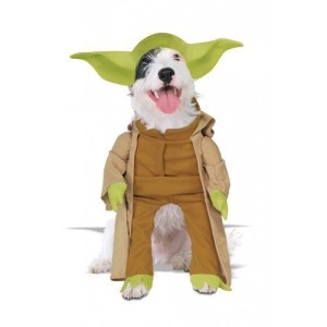 yoda