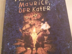 maurice der kater