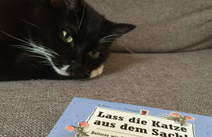 lass die katze aus dem sack