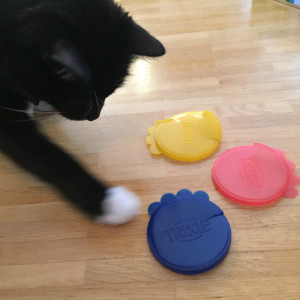 Katzenfutter frisch halten – so schmeckt‘s der Katze - revvet.de