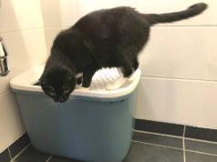 savic hop in katzentoilette