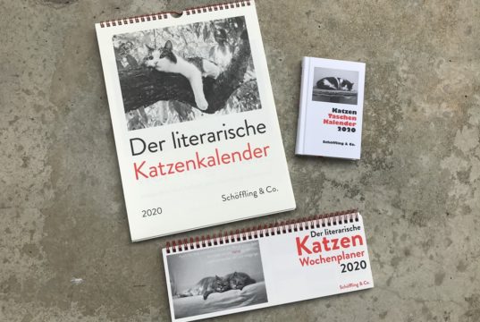 der literarische katzenkalender