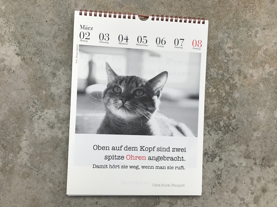 der literarische katzenkalender